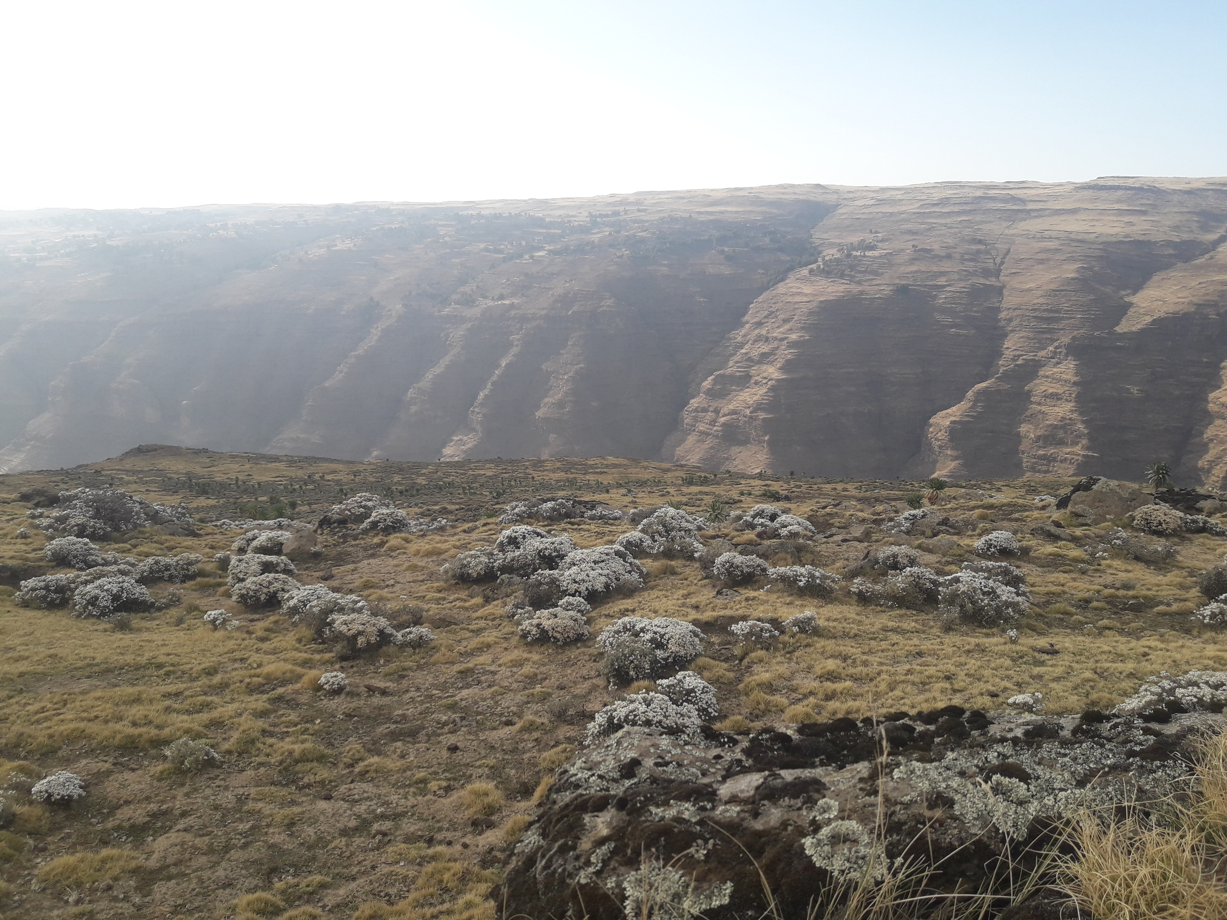 Ethiopian hillside and valley