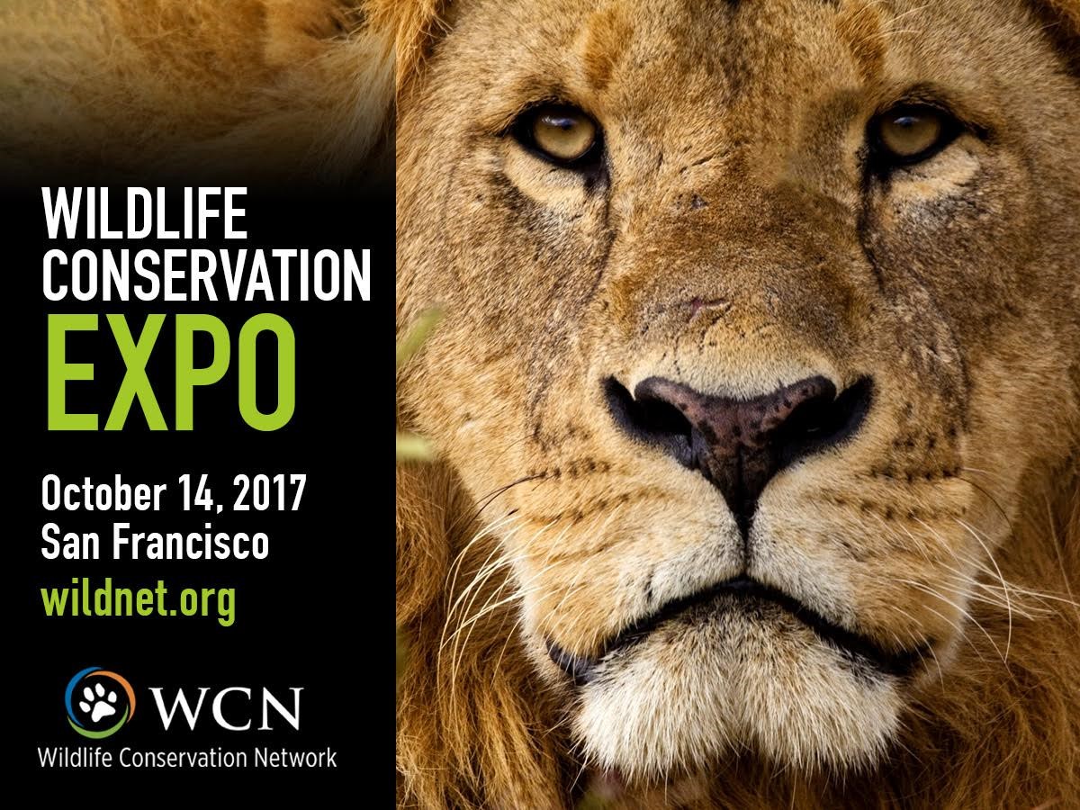 Wildlife Conservation Network